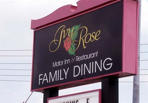 ווינדזור Ivy Rose Motor Inn מראה חיצוני תמונה
